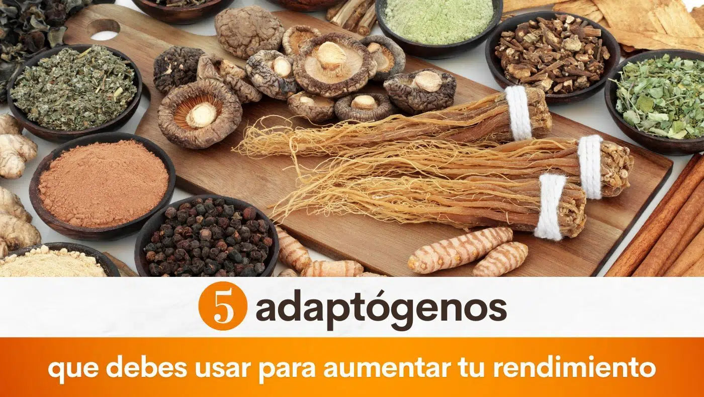 5 adaptógenos que debes usar para aumentar tu rendimiento