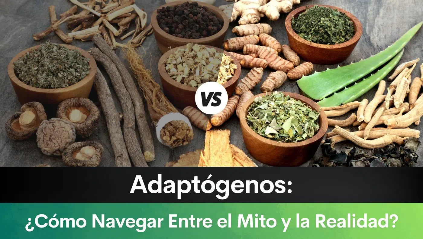 Adaptógenos: ¿Cómo Navegar Entre el Mito y la Realidad?