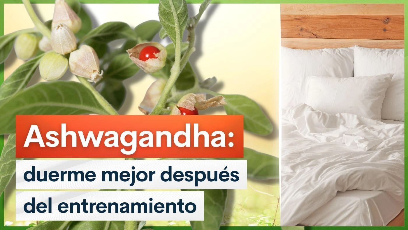 Ashwagandha: duerme mejor después del entrenamiento