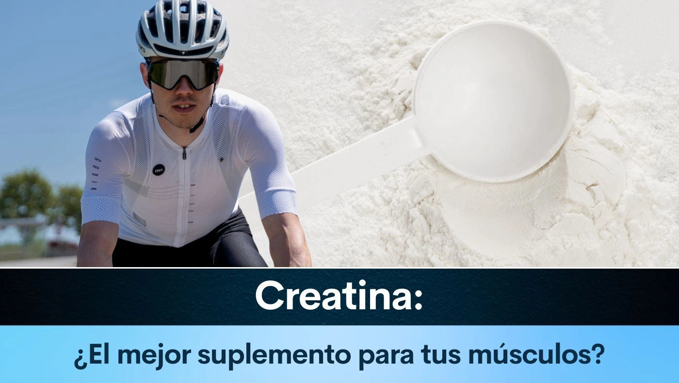 Creatina: ¿El mejor suplemento para tus músculos?