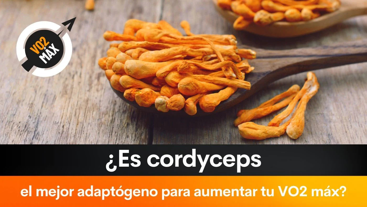 ¿Es cordyceps el mejor adaptógeno para aumentar tu VO2 máx?
