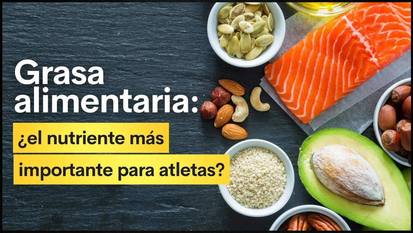 Grasa alimentaria: ¿el nutriente más importante para atletas?