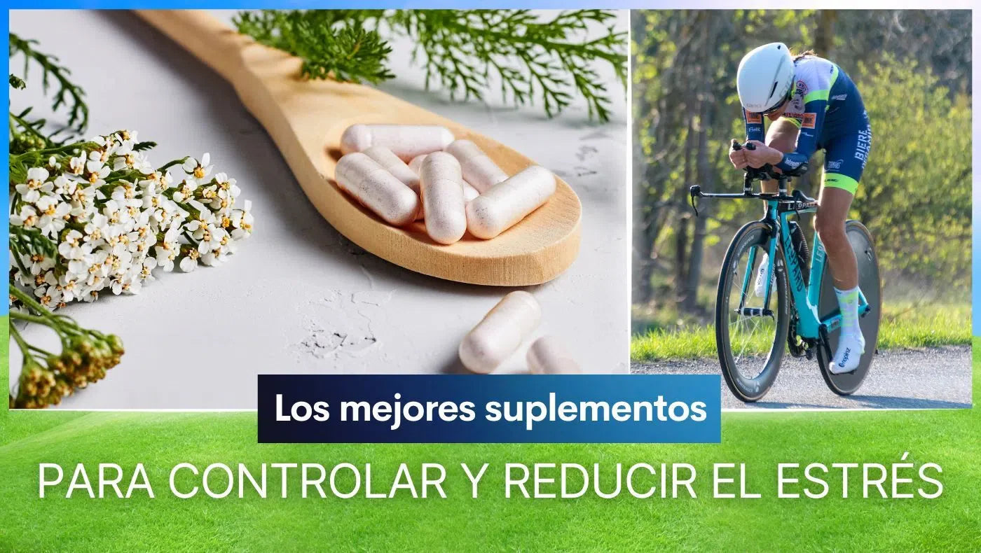 Los mejores suplementos para controlar y reducir el estrés