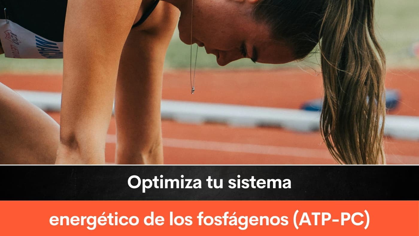 Optimiza tu sistema energético de los fosfágenos (ATP-PC)