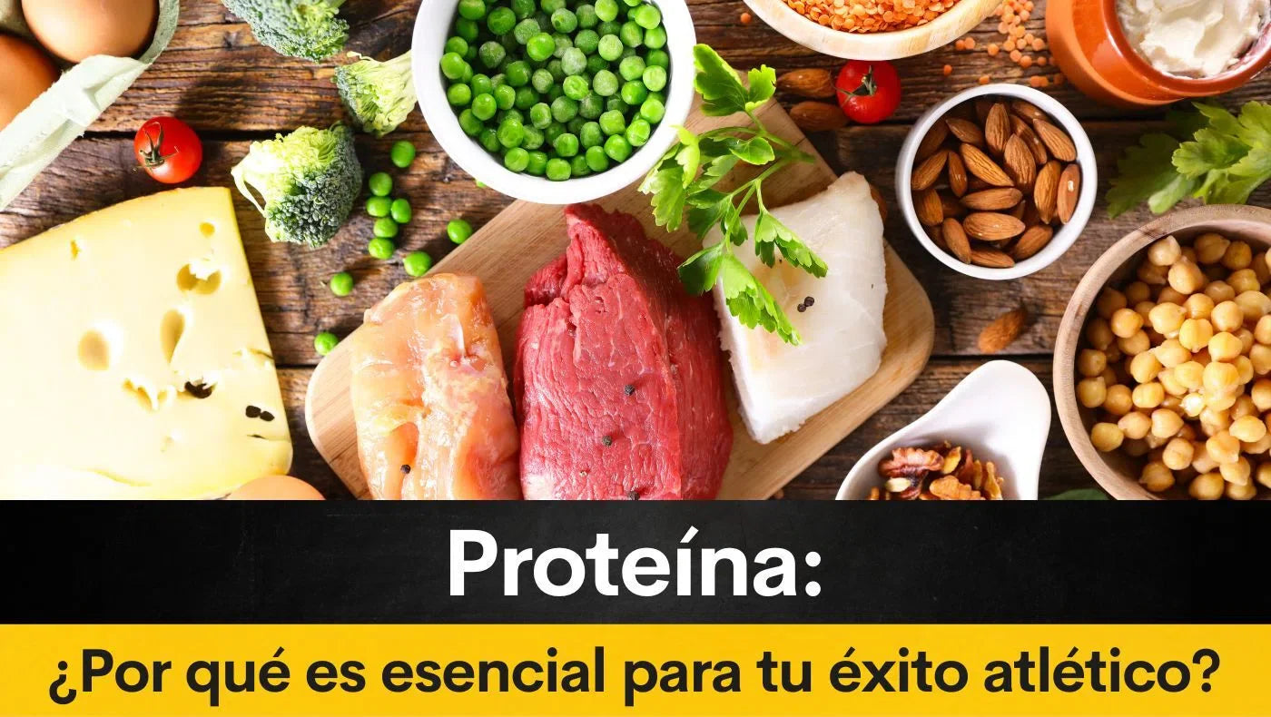 Proteína: ¿Por qué es esencial para tu éxito atlético?