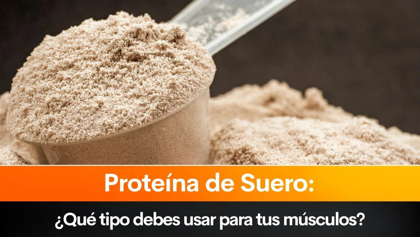 Proteína de Suero: ¿Qué tipo debes usar para tus músculos?