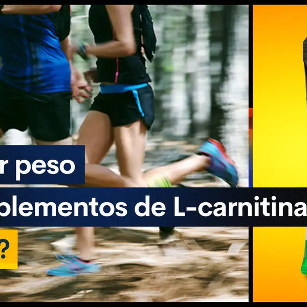 Perder peso con suplementos de L-carnitina. S o no? Perder peso con suplementos de L-carnitina. S o no?