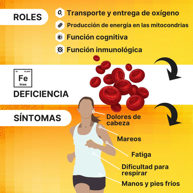 Hierro__4EndurancePro_Dosis_Óptima_Reduce_la_Fatiga