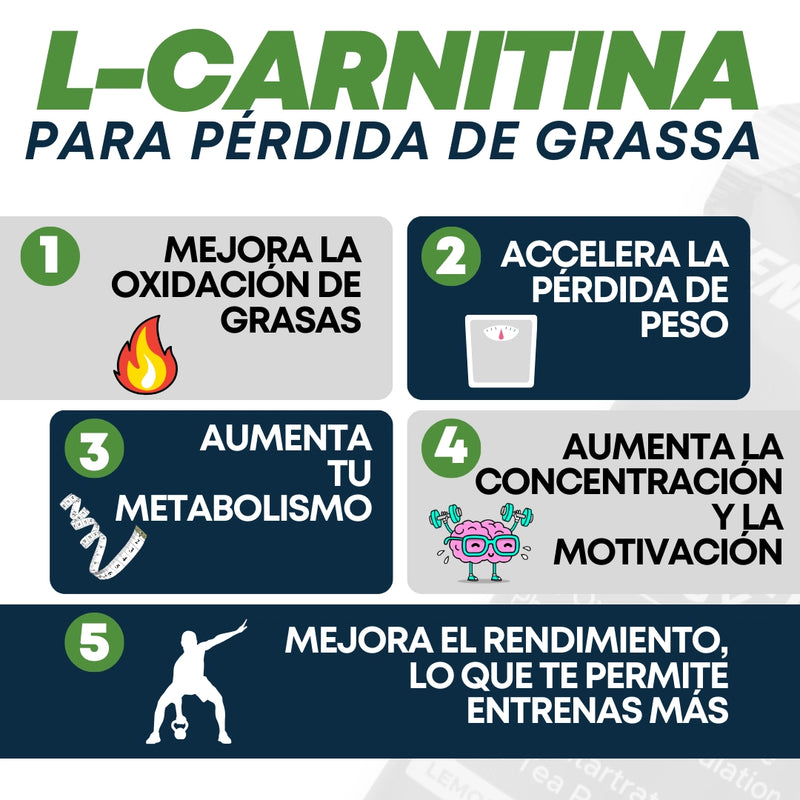 Energy Gel con L-Carnitina Box