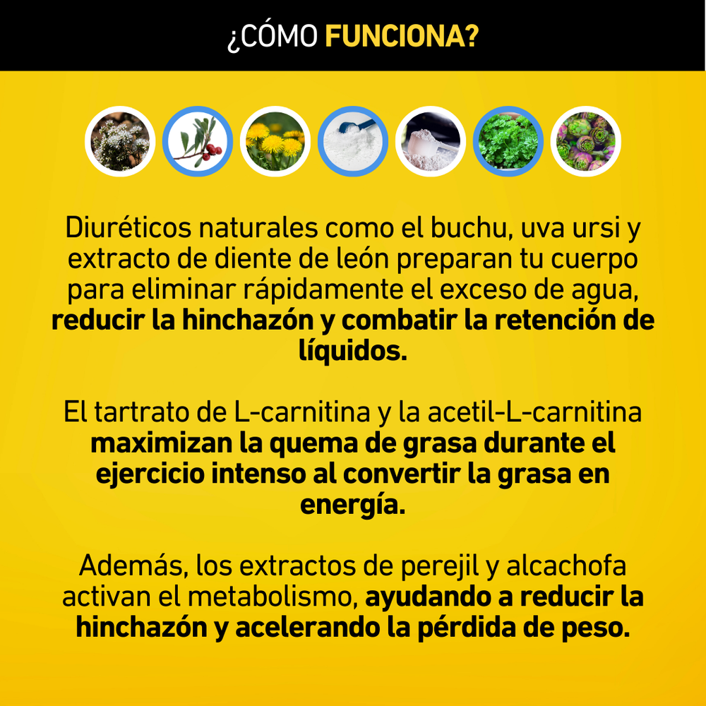 how can i take l carnitine 8 ideas de Consejos de entrenamiento main image 1